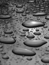 Water Droplets