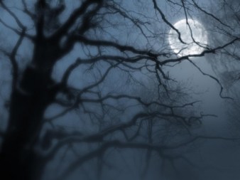 night-moon-fog_30578