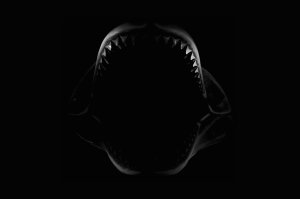 Megalodon_Jaws_by_Kem2000